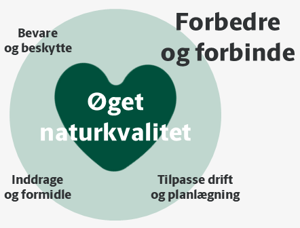 Grafiks fremstilling af visionens princip om at forbedre og forbinde
