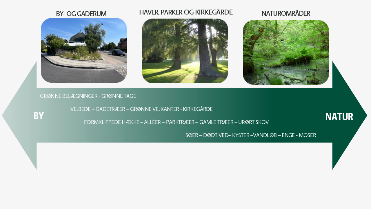 Naturgradient