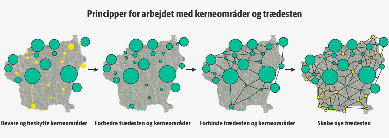 Kort over principper for arbejdet med kerneområder og trædesten