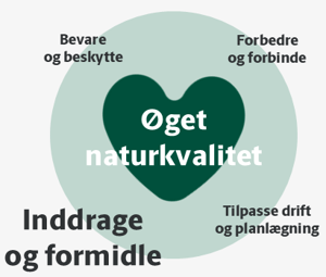 Grafiks fremstilling af visionens princip om at inddrage og formidle