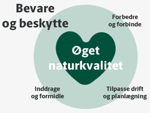 Grafisk fremstilling af visionens princip om at bevare og beskytte