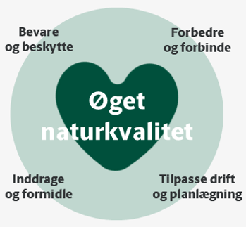 Grafisk fremstilling af visionens fire principper