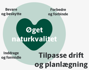Grafiks fremstilling af visionens princip om at tilpasse drift og planlægning